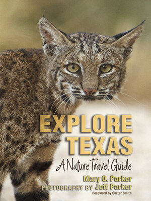 cover image of Explore Texas
